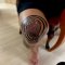 knee tattoo